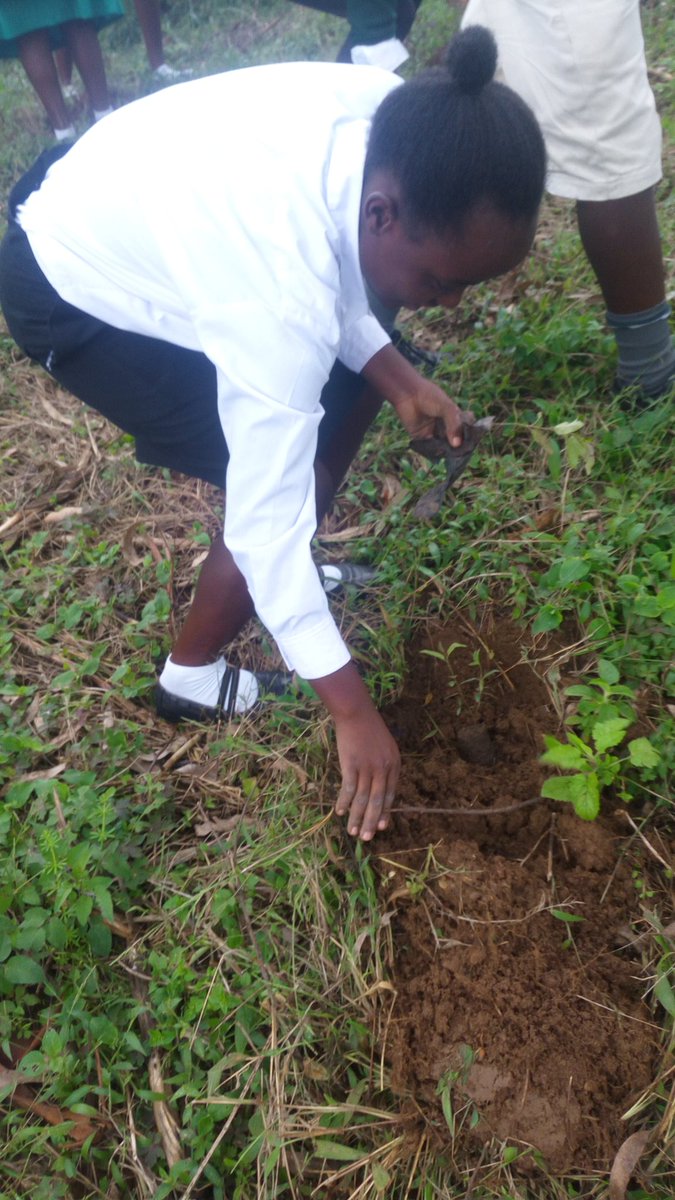 Ed_Kamwe's tweet photo. On 19th April @NWSCKABALE held a tree planting activity at Kigezi High School in line with the conserving the environment through the 1 million trees campaign. Over 3200 trees were planted @nwscug https://t.co/ny9xgvpHrT