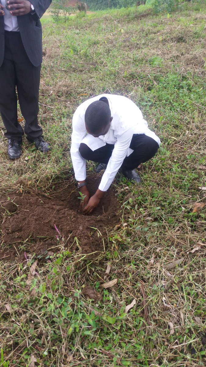 Ed_Kamwe's tweet photo. On 19th April @NWSCKABALE held a tree planting activity at Kigezi High School in line with the conserving the environment through the 1 million trees campaign. Over 3200 trees were planted @nwscug https://t.co/ny9xgvpHrT