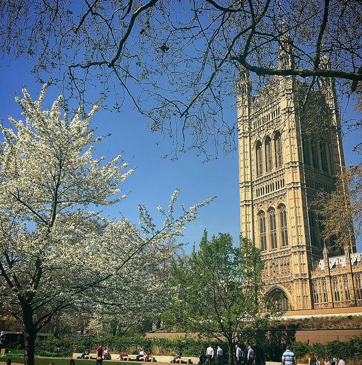 CUBECreativeMe1's tweet image. Love walking to work on days like these.. #LondonSunshine #LondonSpringtime
