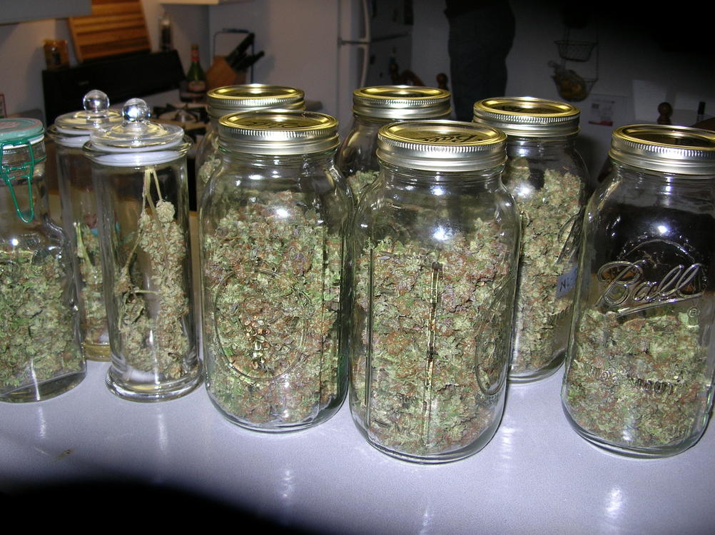 Freeman806's tweet image. Many people have been getting what they need ...now Its up to you mate ..