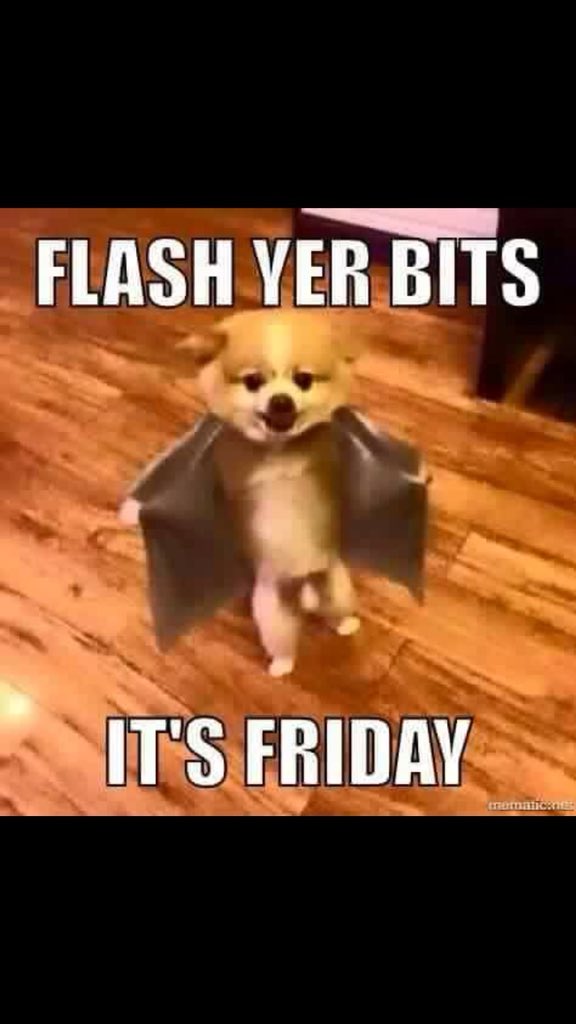 truthnowtho's tweet image. #lancs police have a thief in the ranks #DORRIS stolen on 5/12/17 by PC Craig Walker 3900 LancsPolice while on duty lance police have admitted wrongdoing #localresolution #upheld #nodog #tweet @BBCLancashire @guardianchorley @chorleycitizen @thatslancs