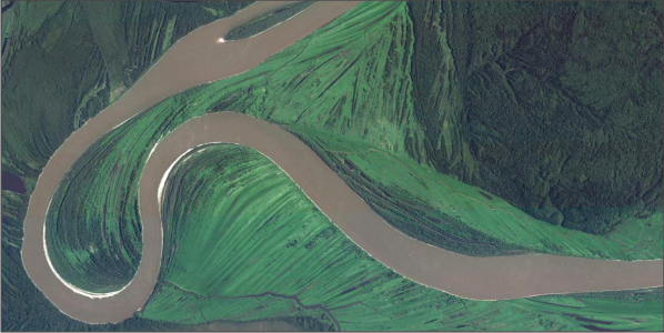 Dr Catherine Russell tweet media