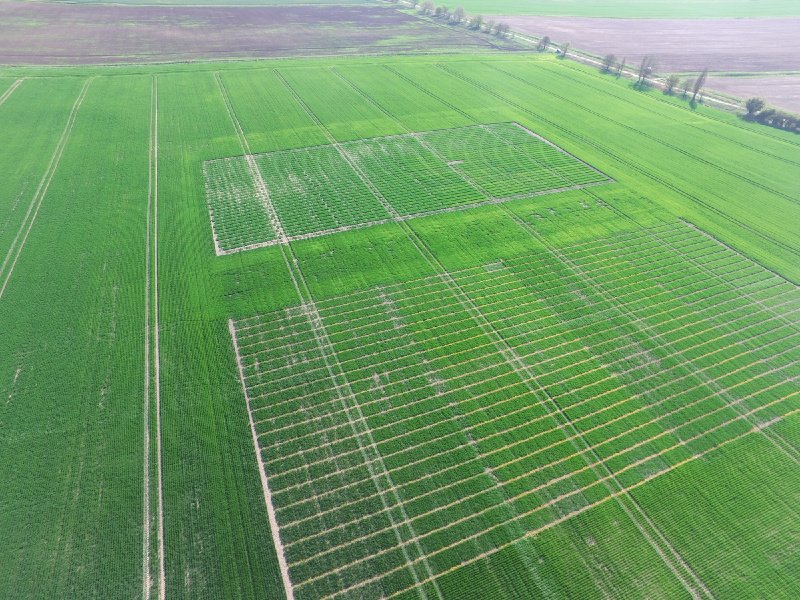 AgrovistaUK's tweet photo. Our #plantsystems precision agronomy team taking to the skies over #Coldham
Dates for our regional development trials are released soon! #agriculture #ukfarming https://t.co/QjmQvorHIL