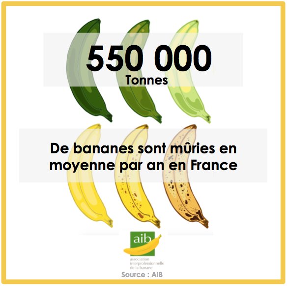LaBananeInfo's tweet photo. #LesMétiersDeLAIB #Episode3 : Découvrez le métier de mûrisseur #Filière #Banane #AIB #UFMB https://t.co/iHudihVl03