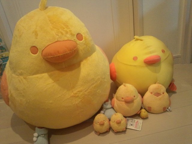 我が家のぬいぐるみ系TOICAのひよこ達を集めてみました。 メガひよこ