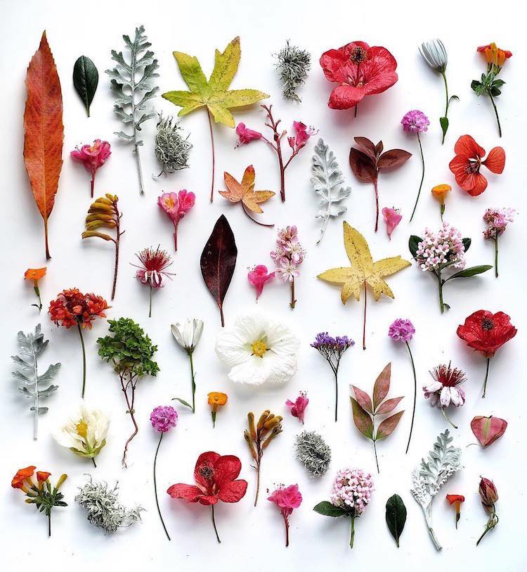 AnaEulate's tweet photo. Deberíamos pensar en nuestras palabras como si fuesen semillas. 
Deberíamos plantarlas, y luego permitir que crezcan en silencio. https://t.co/3aFfprRdtp