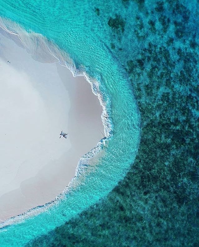 ift.tt/2vAu92a [Infolengkap] Faktagram hari ini #Infolengkap #fakta #mostpopular via Instagram