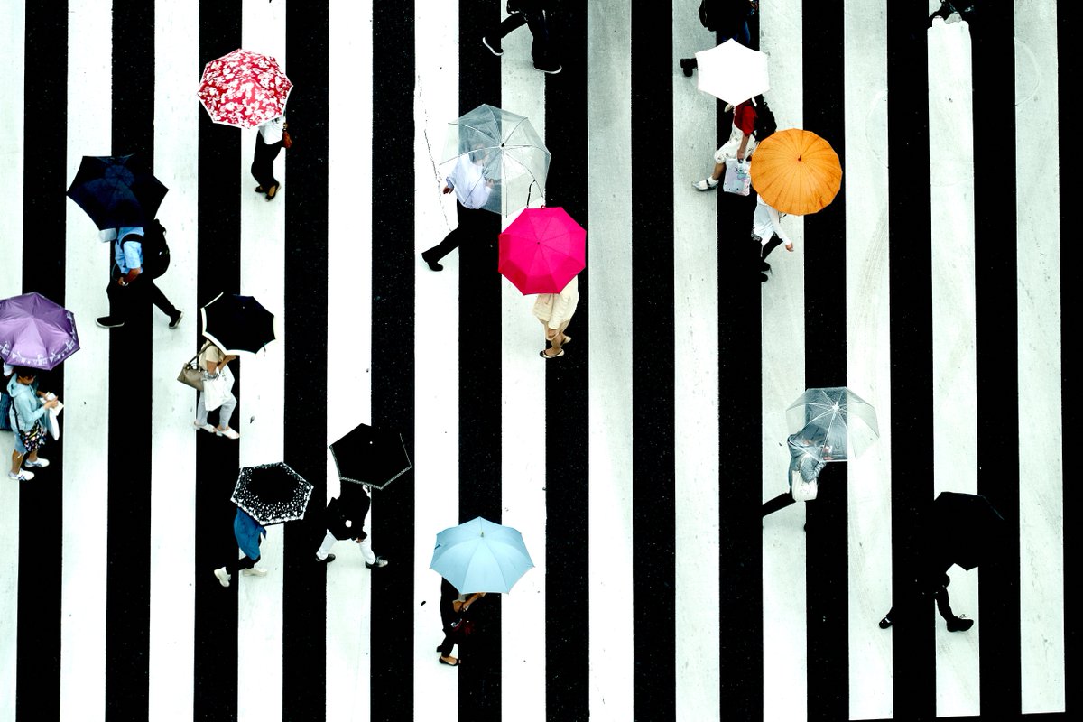 Something for the weekend: head to Somerset House to see the winning and shortlisted images for the 2018 Sony World Photography Awards - including this snap by Japanese photographer Makoto Nishikura