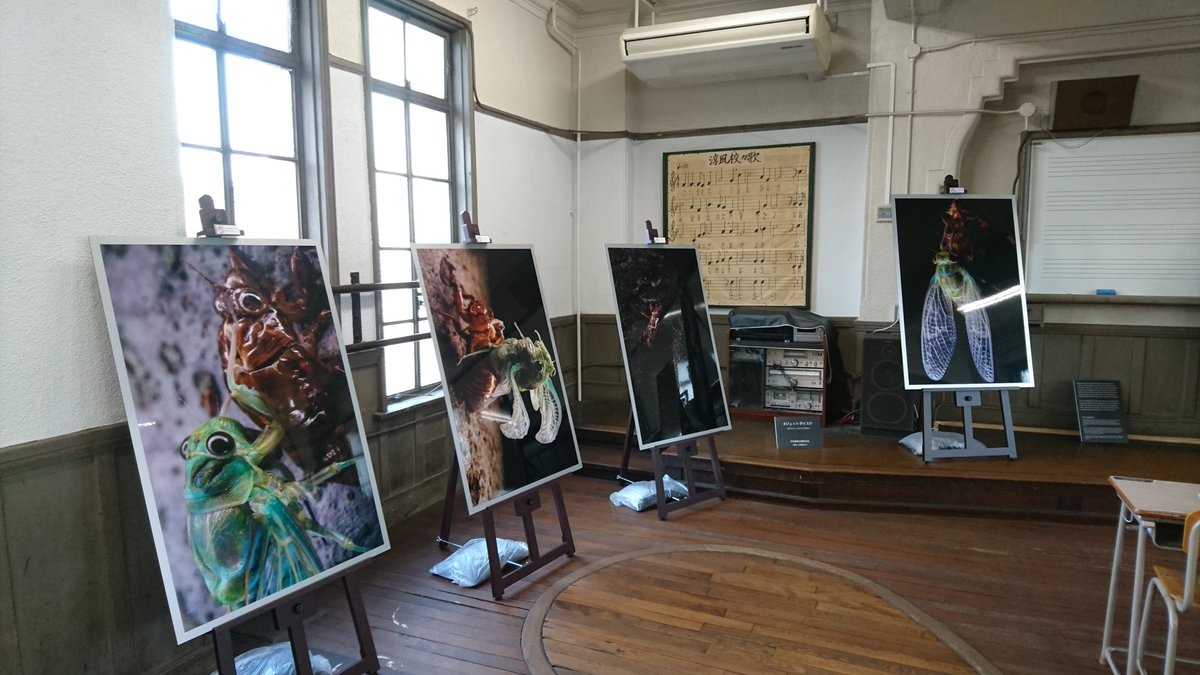 zn_yuuki2580's tweet photo. 遠足で京都行ったからジェットダイスケさんの写真展を見てきた!!
写真もめっちゃ綺麗でほんまに凄かった!!
本人にも会えて話せたし、サインも貰えたから大満足!!
あ、思ってたより伸長高かったです笑
これからも動画や写真楽しみにしてます!!
#ジェットダイスケ #jetdaisuke
#nocturne https://t.co/lbA3ZakqHj