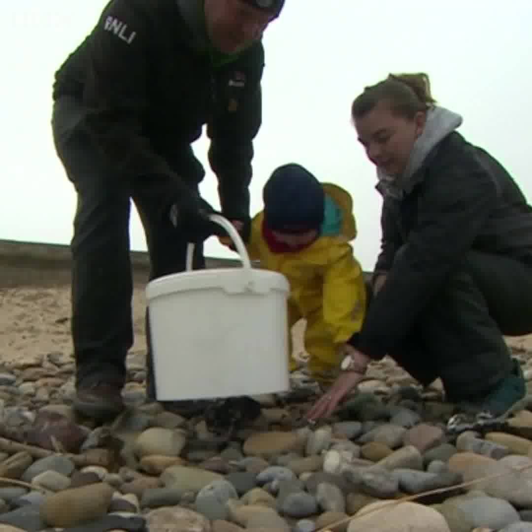 WallTogether's tweet image. Now this is brilliant, business social community responsibility and wonderful development of awareness for the next generation
buff.ly/2K0X6qR