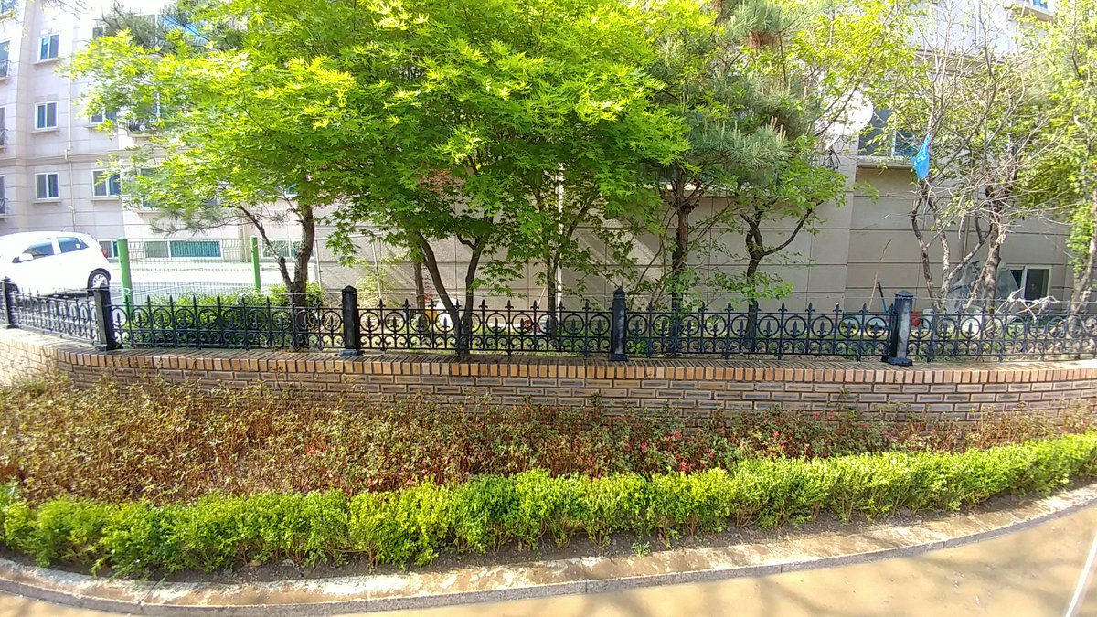 산불 경계 예찰하고 오는 길에서 수정구보건소에서 동산마을 경로당과 어린이놀이터에 방역활동을 하시는 모습과 산불감시요원을 뵈었습니다.
마을 골목에는 회양목, 영산홍 등 쌈지화단을 조성하고 있어 잠시 발길을 멈추었습니다. 황사와 미세먼지 속에서도 봄꽃은 피어나 향기를 선사하겠죠?