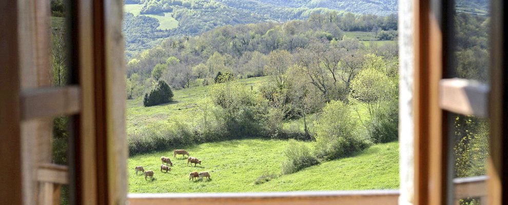 t_hunder_xazues's tweet photo. Este fin de semana os vamos a mostrar los encantos de la casa rural Monaut y las maravillas del @valledearce 😉 ¡Empieza la aventura! #Navarra #PirineoNavarro #CasaMonaut #ValleDeArce https://t.co/CTEyXv9rpg