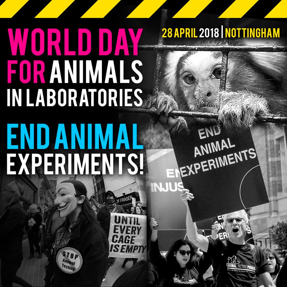 ajpReact's tweet photo. World Day for Animals in Laboratories draws ever closer!

JOIN US:

https://t.co/eyB1Xqi8Uz

@WDAIL_UK #WDAIL #WorldDayForAnimalsInLaboratories https://t.co/p7j9661j02