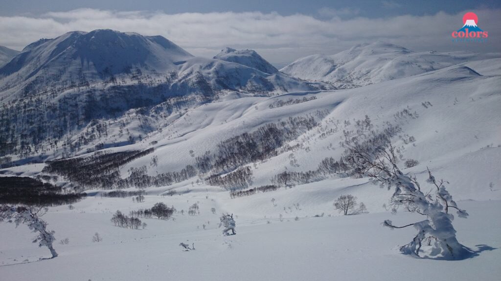 ColorsAdventurs's tweet photo. #esquí en #japón #freeride #backcountry #skimo #splitboard https://t.co/9e32ArAYix