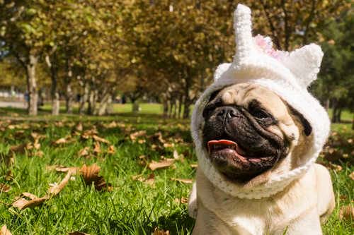 MessagePanda's tweet image. "I love mankind! It's people I can't stand 😅"