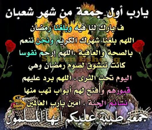 reem1982__'s tweet photo. https://t.co/09409GIKab