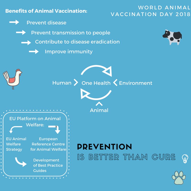 V_Andriukaitis's tweet photo. Today is #WorldAnimalVaccinationDay
Animal #vaccination is needed to keep animals healthy – an important part of #onehealth approach.
#Prevention is better than cure! https://t.co/QkLbgZe6aK