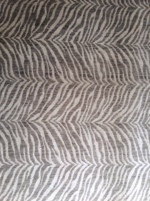 Animal Print Carpets tweet media