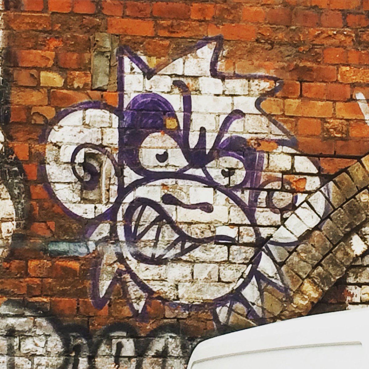 LDNStreet_Art's tweet photo. 🎨 #mightymonkey 🗺 Sclater Street, London E1 📆 March 2018 #shoreditch #bricklane #streetart #graffiti #mightymo #monkey #ldnstreetart https://t.co/QWlCiwEY1d