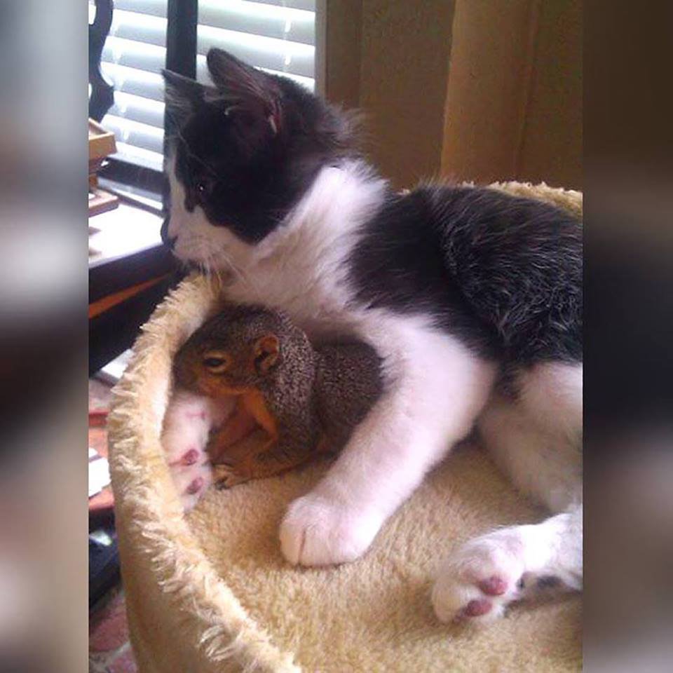 TGIF 💙❤️💛

#love #friendship
#compassion 

Unconditional LOVE is what this world needs more of, lift your hearts, not your voice❤️