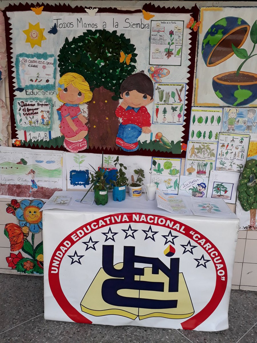 ClifCandelaria's tweet photo. Con alegría los maestros y maestras de la Patria organizaron las muestras de sus planteles. ¡Viva la Patria! @MPPEDUCACION @MPPEFormacion @ZonaEducativaDC @CRIF_Dtto_Cap https://t.co/hNly68Rjug