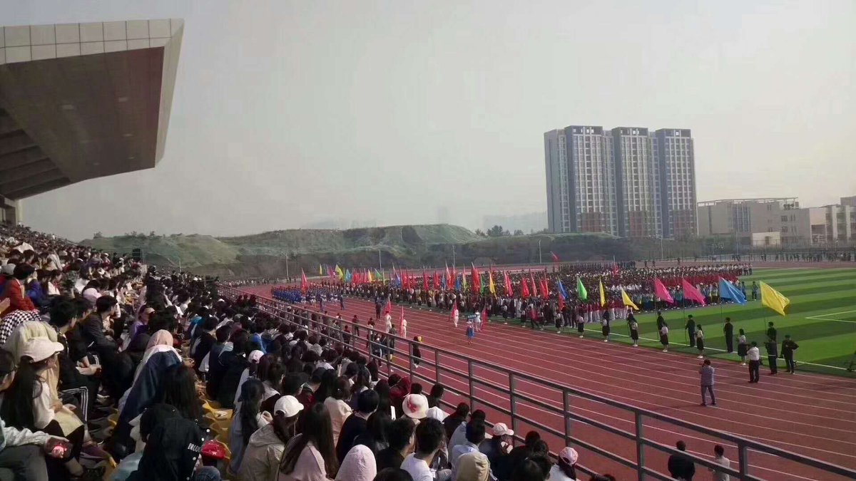 Chinafakegrass's tweet photo. Installation of School Artificial Grass is Done. Top Joy is your best choice. https://t.co/uPwHGgdlND  #grass https://t.co/b4PAOiGt9B