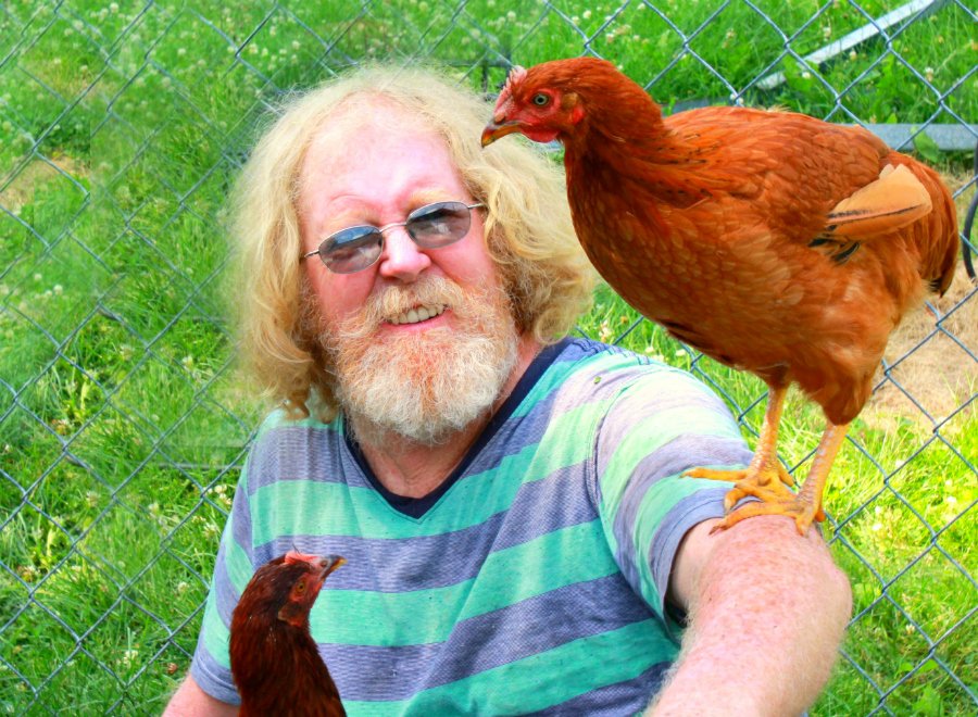Melissa tweet media