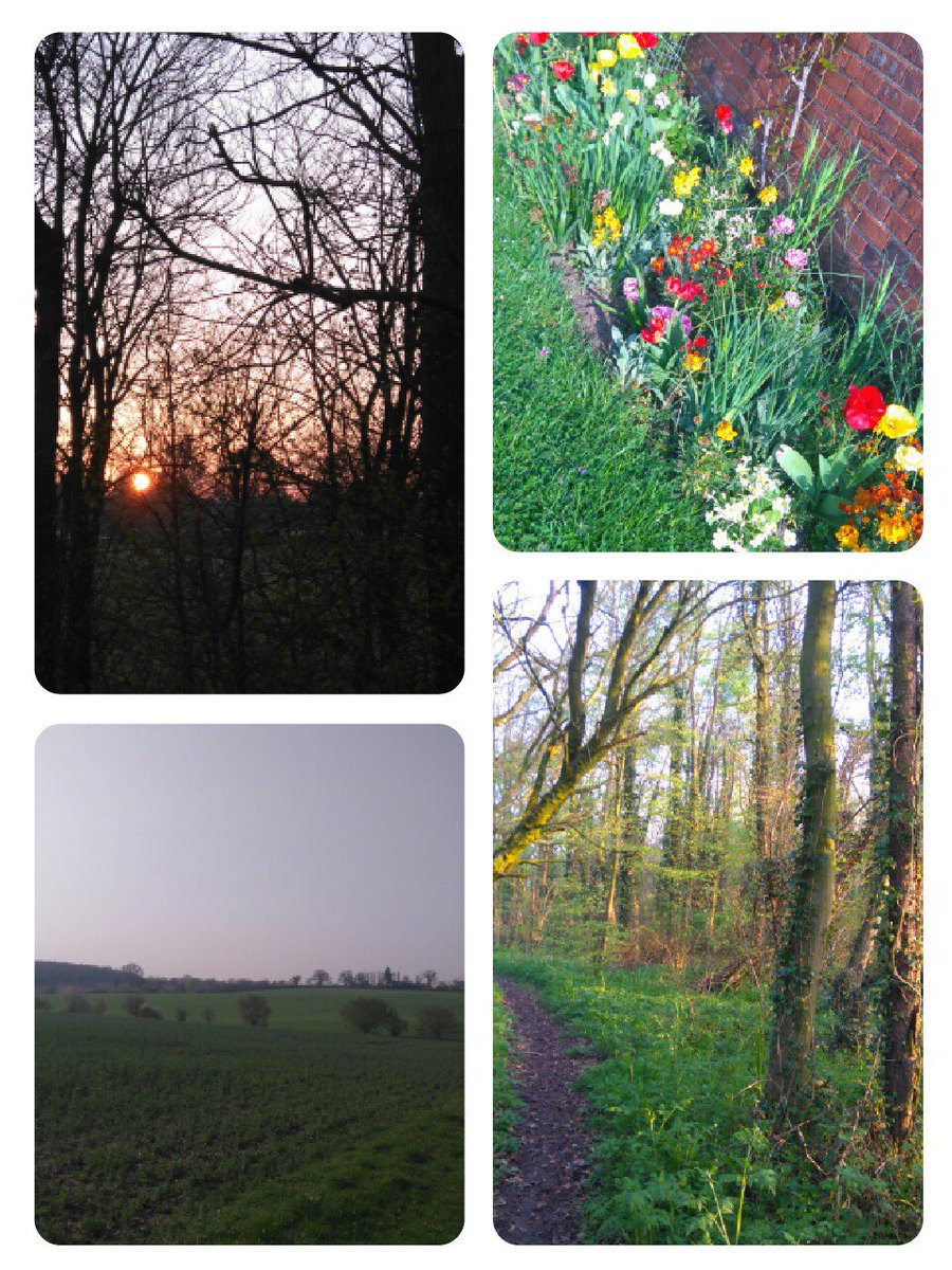 runanninarun's tweet image. Stunning morning not a cloud in the sky, me alone for 20miles trail run!!a bliss!!! #runshine and thanks to @OSleisure maps I'm not getting lost!! #lacelockers