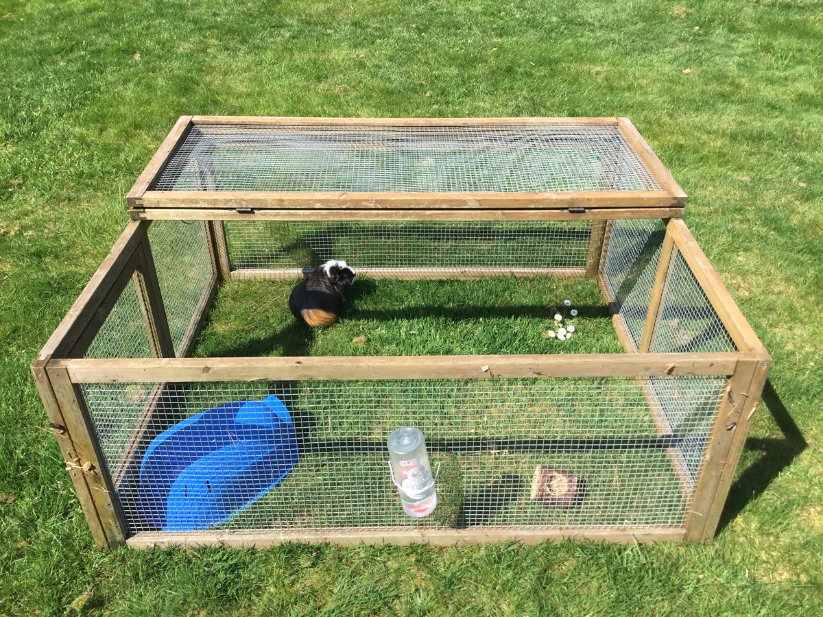 THSch_Boarding's tweet photo. Cookie has been enjoying sunshine and cuddles today! #boardingpet #iloveboarding #thboarding https://t.co/L9dp2g3v6L