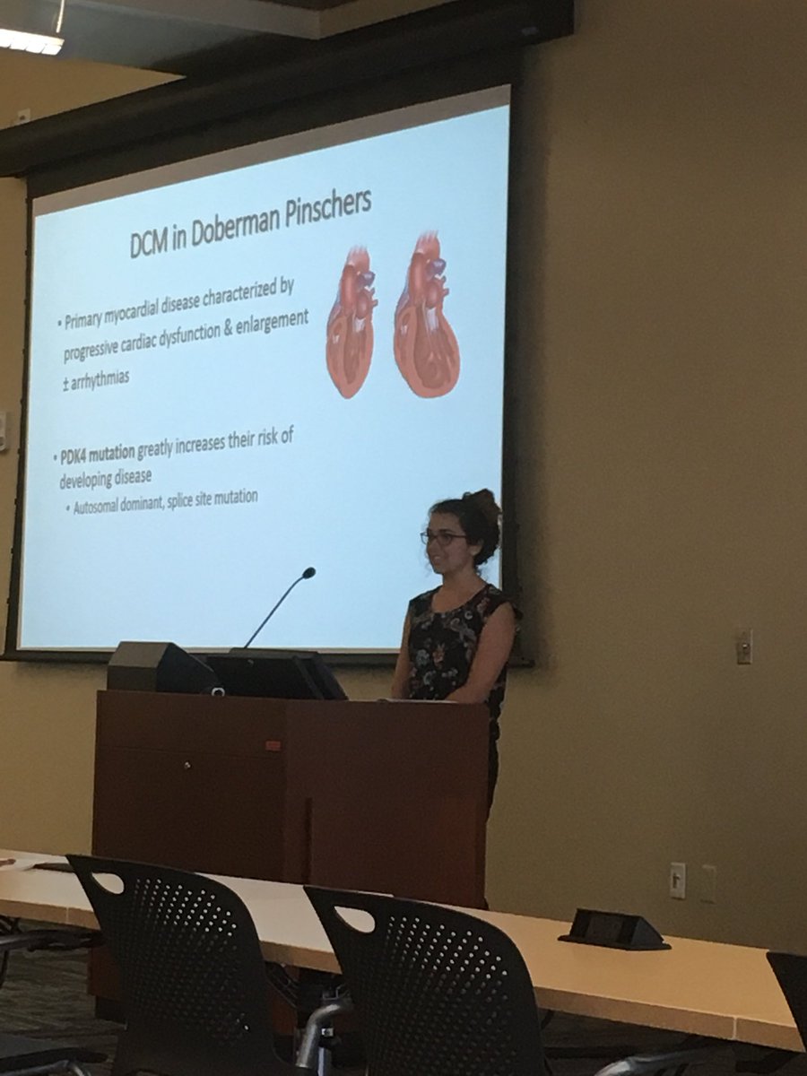 Pacak Lab tweet media