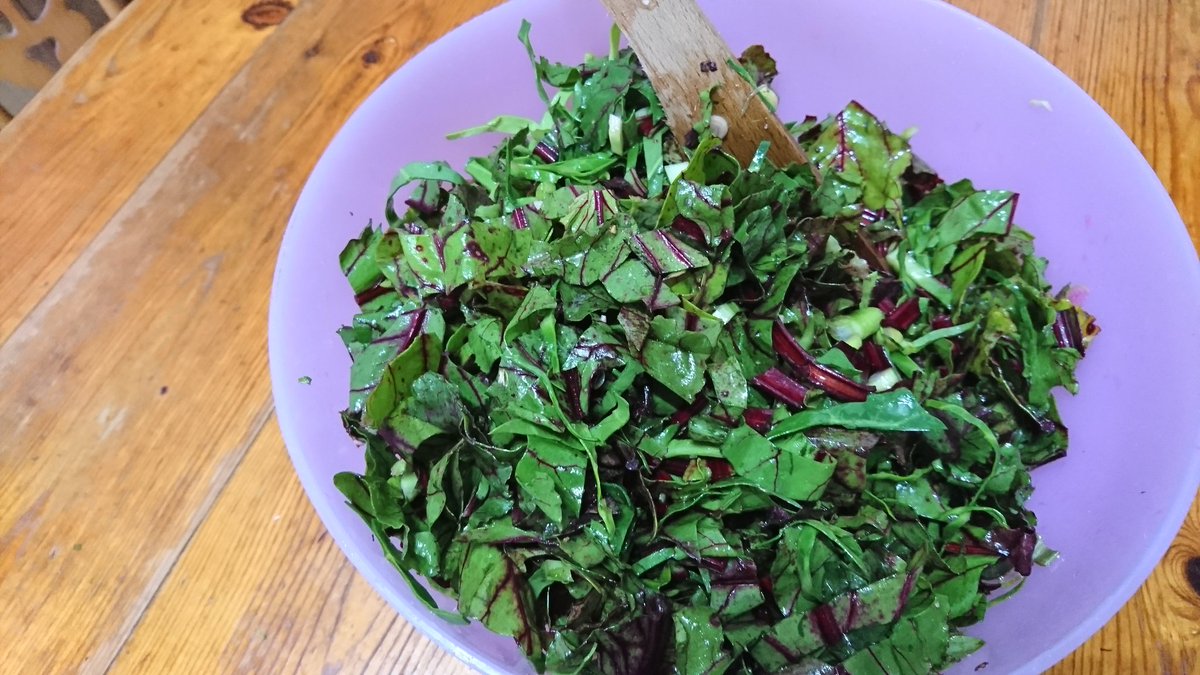 ecoveganmum's tweet photo. Fine weather upon us! Making a #Vegan #wastefree salad from beetroot leaves! #beets #makefoodnotwaste #veganlifestyle https://t.co/kh004WN85R
