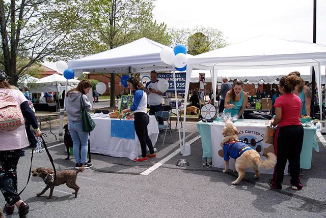 Image from MoCo Humane Society (@MoCoHumane)