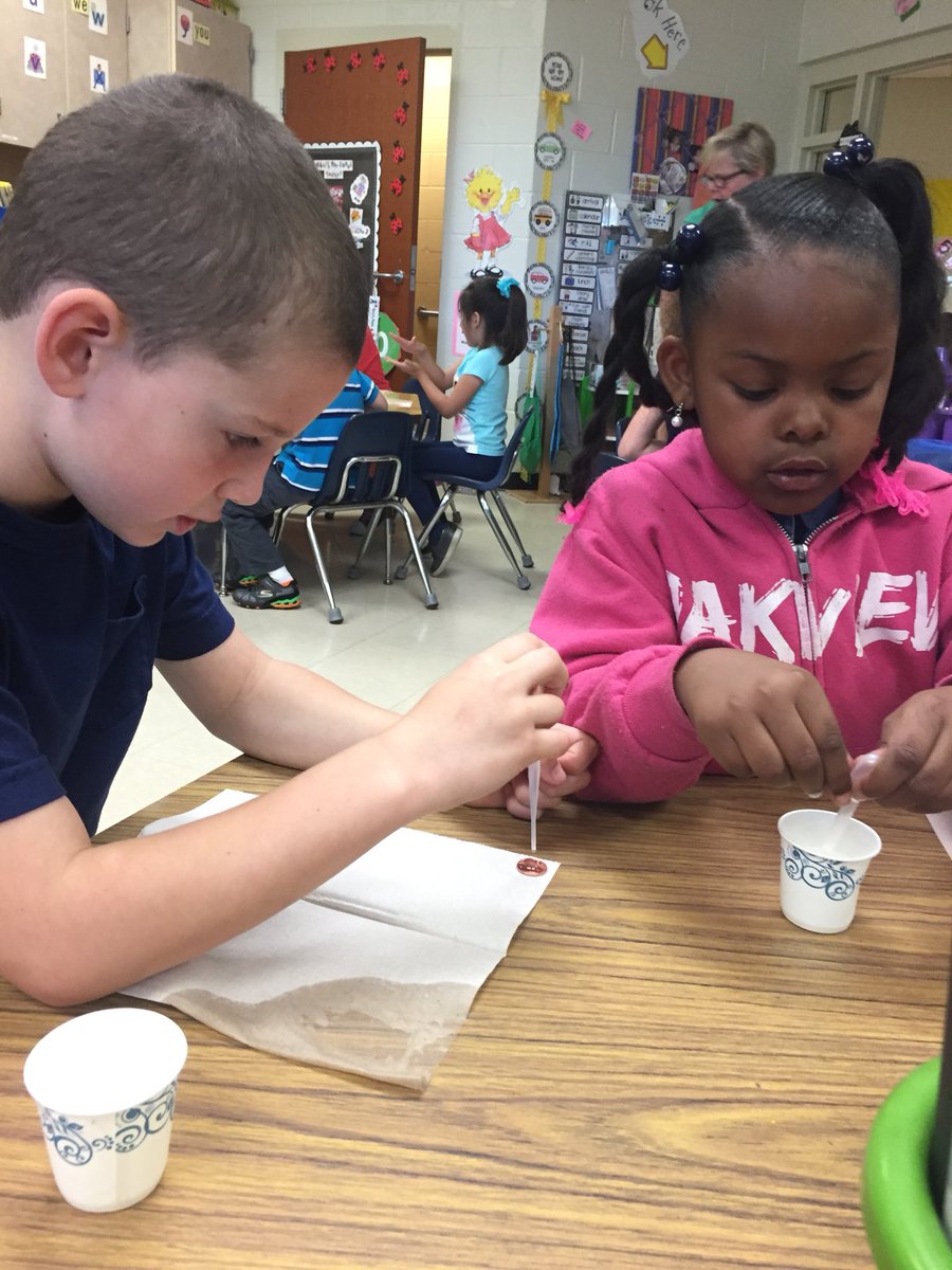 cindykowens's tweet photo. Wow! Check out our Jr. Scientists @mauldineagles K5 Science Day! #MESexplores #MESLeads #MESempowers https://t.co/qmPJfsLIpC