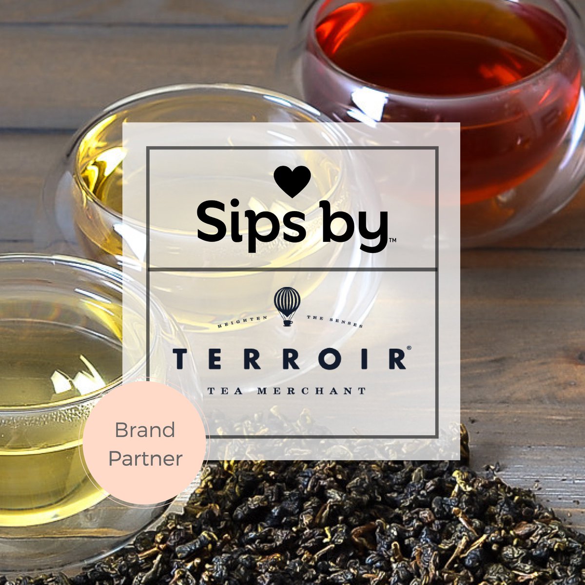 We're teaming up with our friends at <a href="/terroirtea/">Terroir Tea Merchant</a> to give away 3 full-size bags of #alishan #oolong #tea (grown at 1200m in #taiwan)! Check out our insta for details on how to enter: instagram.com/p/BhxFP1dlXSw/

#looseleaf #oolongtea #taiwantea #terroirtea #sipsbyterroirteamerchant