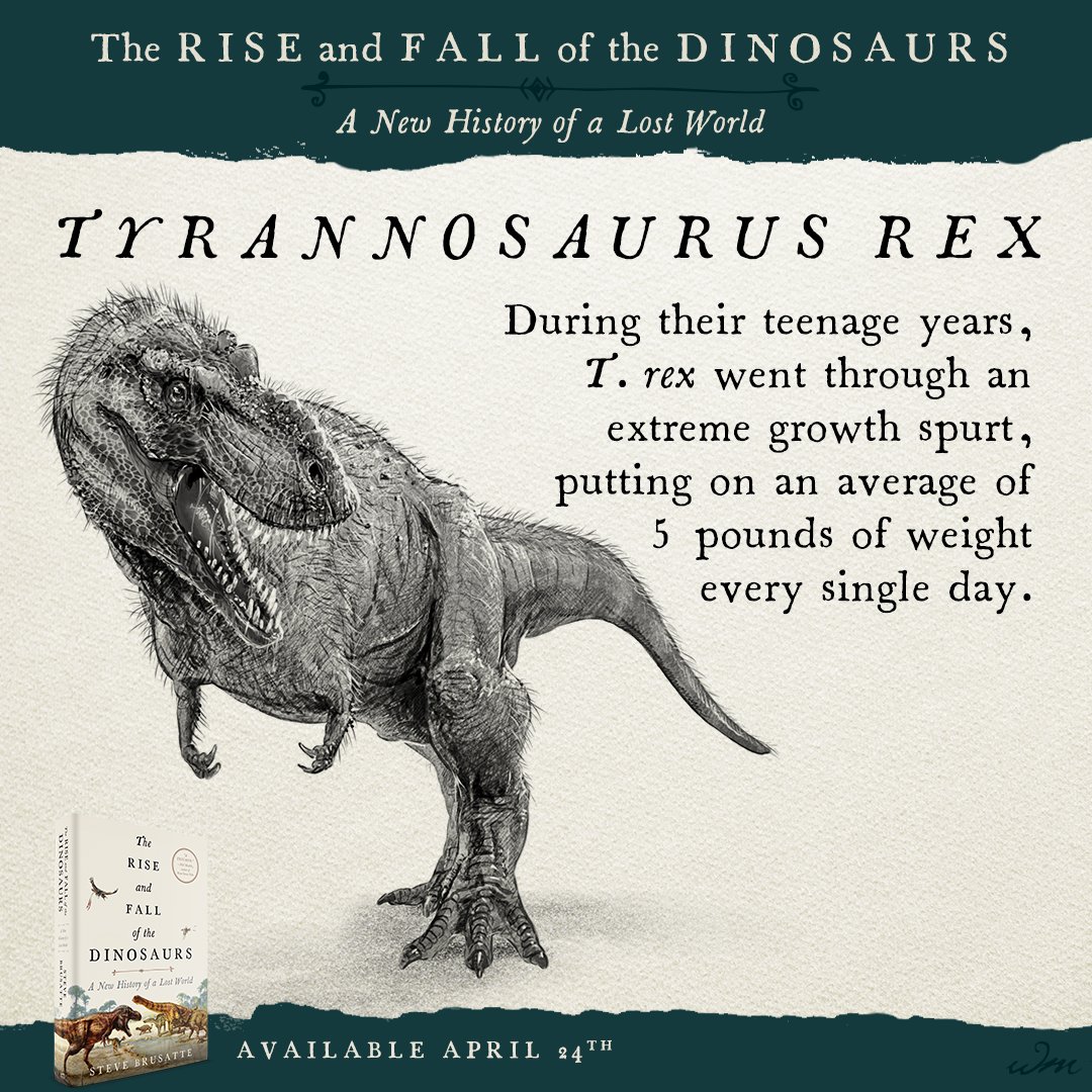 the rise and fall of the dinosaurs by steve brusatte the rise and fall of the dinosaurs by steve brusatte