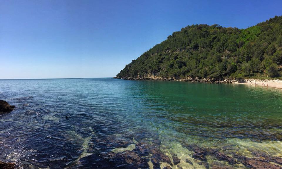 MinturnoScauri's tweet photo. caldo estivo! è iniziata l'#estate2018 voglia di un tuffo nel #mare della #Spiaggia dei Sassolini 
non solo #salento #puglia #sardegna #toscana #sicilia anche nel #Lazio trovi #spiagge da favola https://t.co/75A31aYkMb https://t.co/yMEGBqerda