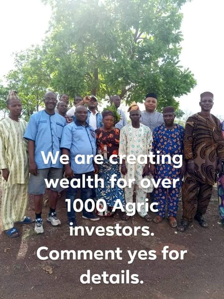 MaizeFarmer's tweet photo. Creating wealth for over 1000 agric investors. You want to get involved in farming? 
.
You could use new stream of income from the agric value chain?
.
You have a thing for farming but busy with your career?
.
Looking for a reliable agric firm? Visit 
https://t.co/jRmWyHXRID. https://t.co/gfZZ2DplkM