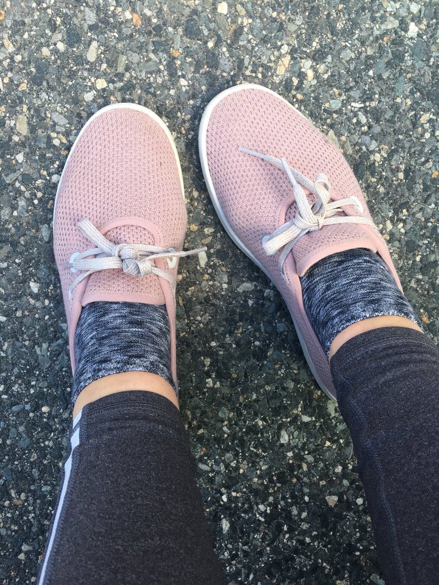 allbird tree skippers