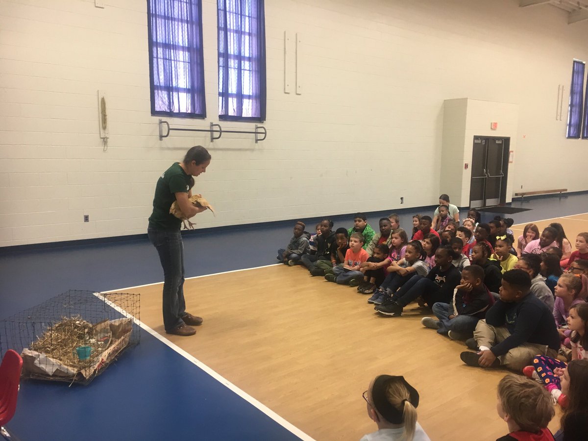 Ettrick ES Library (ettricklibrary) Twitter