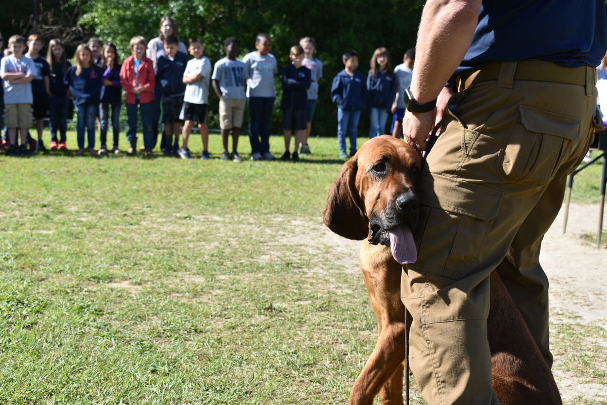 WCSOFL's tweet photo. Students at West DeFuniak Elementary School got a very special visit with some amazing dogs today! ❤️🐾👍🏼 Thank you @scentevidencek9 for visiting! #K9 #WorkingDog @WaltonCountySD @LibertyPartners https://t.co/DOTAXUsvp8