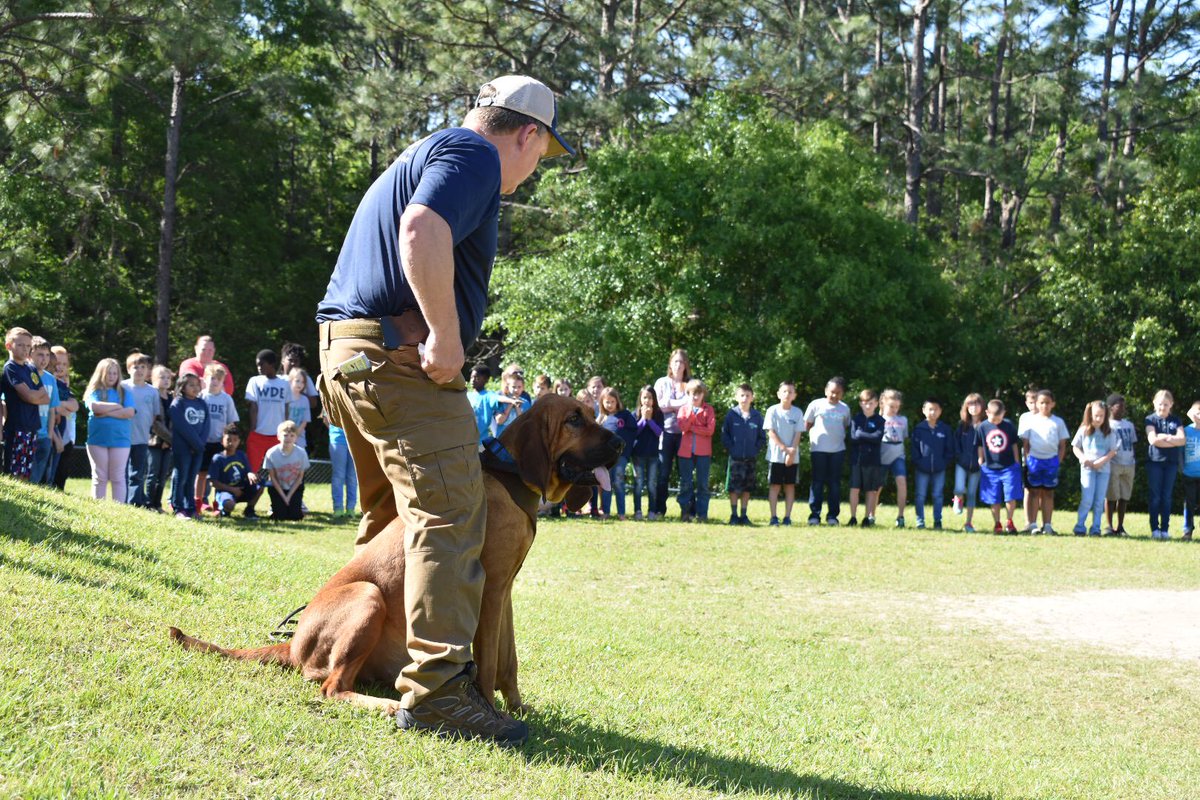 WCSOFL's tweet photo. Students at West DeFuniak Elementary School got a very special visit with some amazing dogs today! ❤️🐾👍🏼 Thank you @scentevidencek9 for visiting! #K9 #WorkingDog @WaltonCountySD @LibertyPartners https://t.co/DOTAXUsvp8