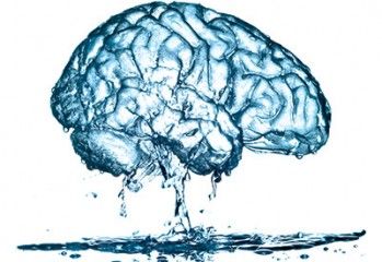 LTHPaedNeuroRes's tweet photo. Friday's Brain Fact: Your brain is 73% water. It takes only 2% dehydration to affect your attention, memory and other cognitive skills.
Keep your brain hydrated in the hot weather!
#HydrationIsKey #WaterThatBrain #AprilHeatWave #BrainPower #BrainFacts #LTHBrainFactFriday https://t.co/tmHfTImdqo