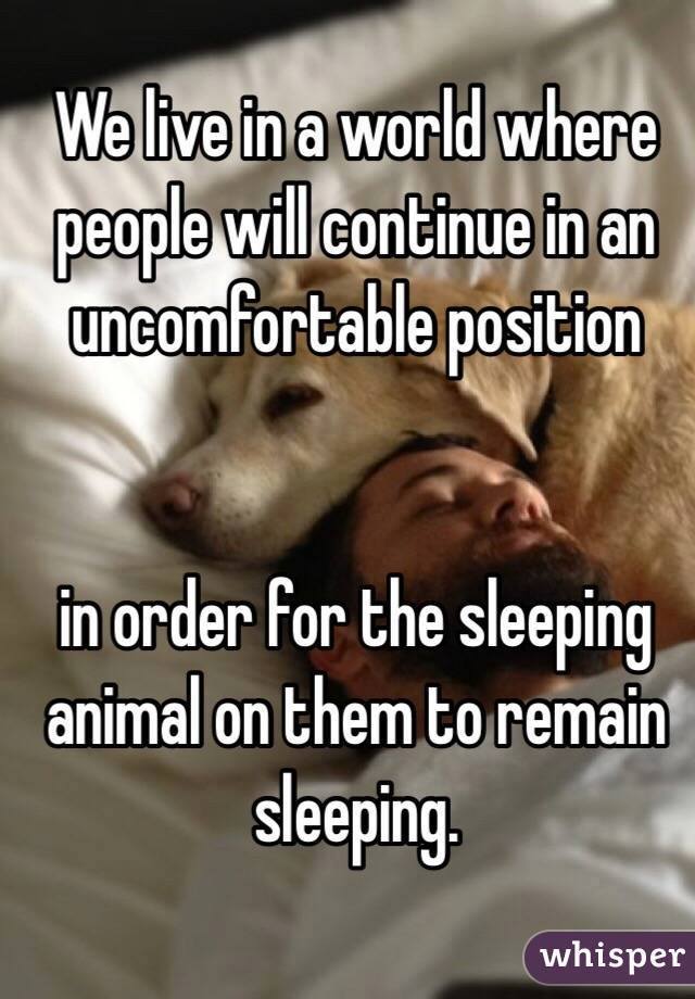 dogs_puppies's tweet photo. That's a fact. #Friyay #dogs #FridayFeeling #dogsoftwitter #FridayMotivation https://t.co/McoYE8KZZ4