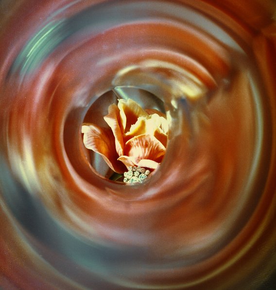 Da domani torna a Genova @Euroflora2018. A Firenze continua il viaggio sensoriale tra essenze e immagini con “Profumo di Fotografie”. 
Fino al 4 maggio alla Biblioteca Nepi, Palazzo Alinari, Firenze. 
©Villani/Alinari