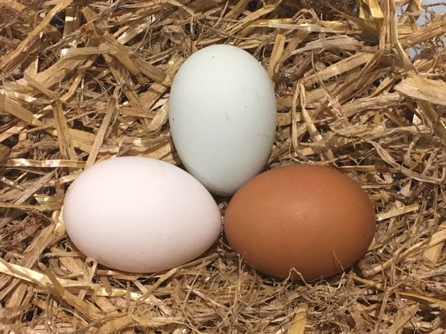 ReadingFarmMkt's tweet image. Come down to @ReadingFarmMkt this Saturday for a wealth of gorgeous local food and drink. We’re at the old cattle market from 8.30am-12pm. Follow the link for the full line-up: goo.gl/Hn96gH #shoplocal #artisan #farmersmarket #rdguk #sustainable #ethical #EarthDay2018