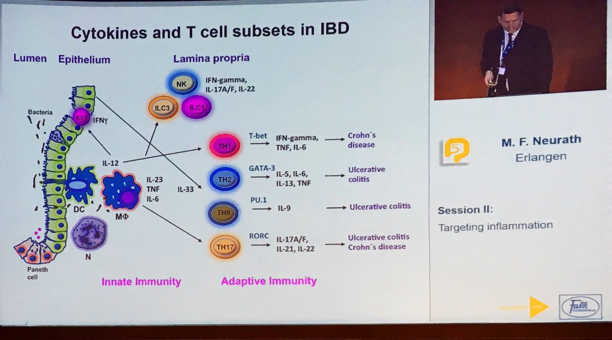 manu_barreiro's tweet photo. T-Cell and cytokines in IBD Dr Neurath #Falk18 https://t.co/v4zTx0Jvmj