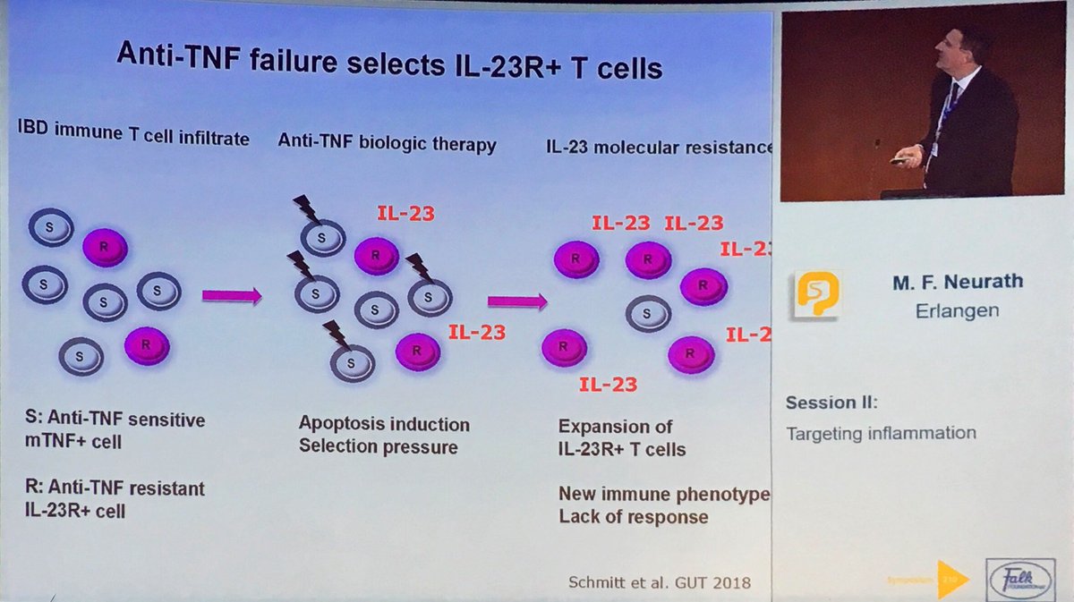 manu_barreiro's tweet photo. T-Cell and cytokines in IBD Dr Neurath #Falk18 https://t.co/v4zTx0Jvmj