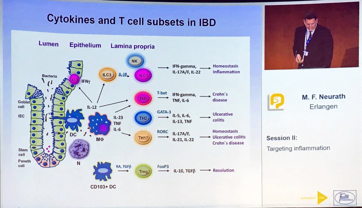 manu_barreiro's tweet photo. T-Cell and cytokines in IBD Dr Neurath #Falk18 https://t.co/v4zTx0Jvmj