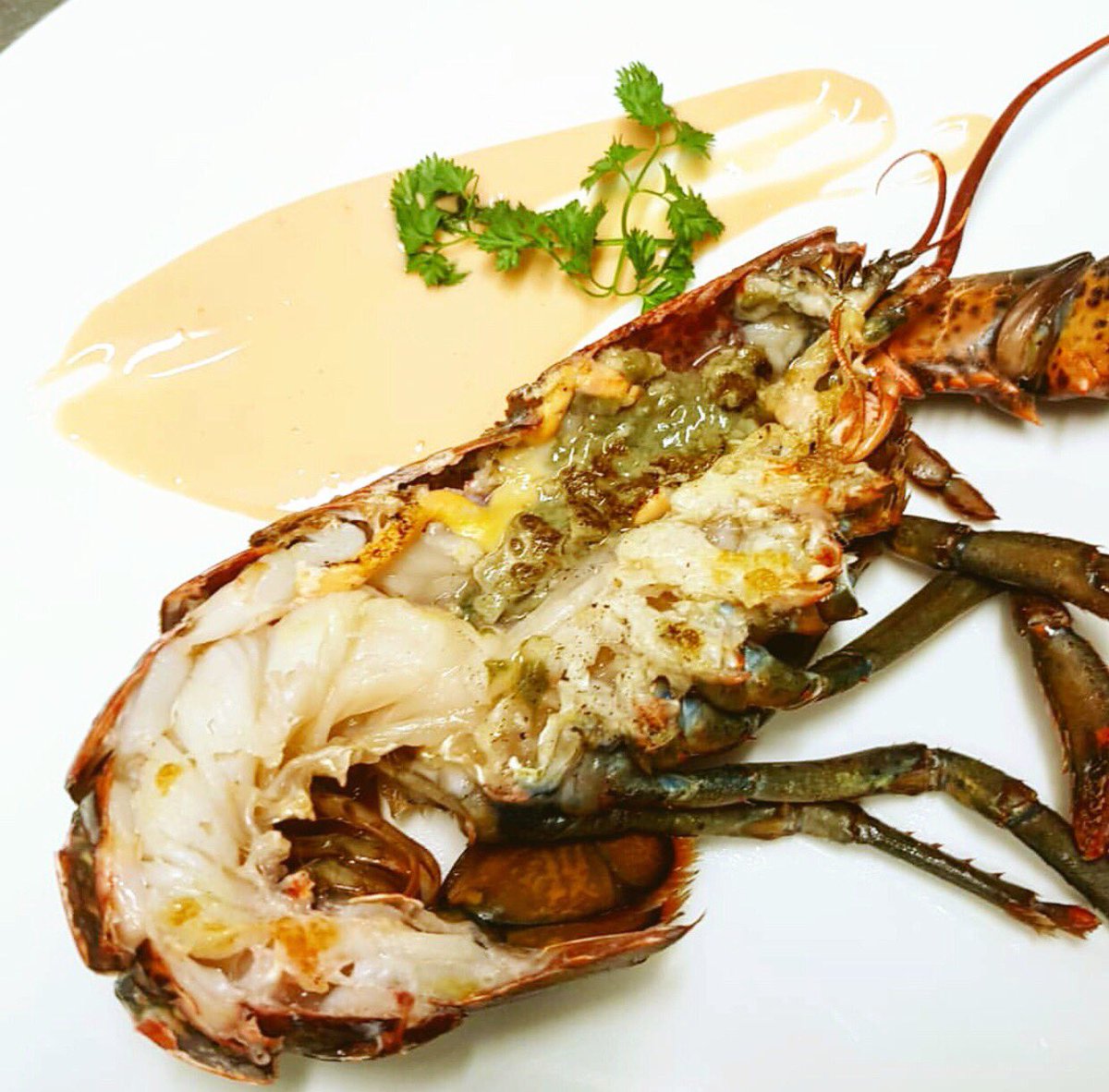 Los viernes son para disfrutarlos a lo grande... Bogavante con holandesa de corales de carabineros. ¡Mar en estado puro! 🌊

#Alicún #Úbeda #Gastronomía #Marisco