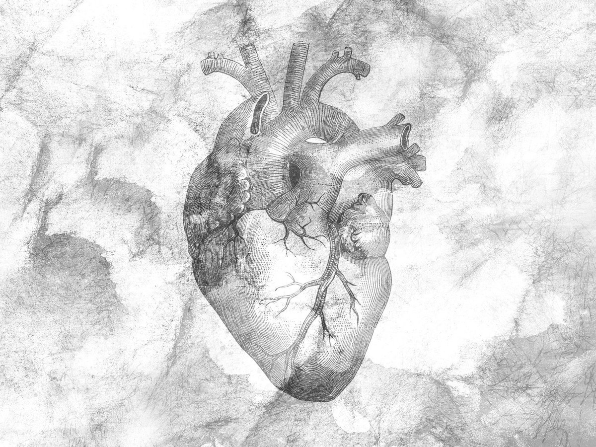 jimwhaley's tweet photo. “If I’m more concerned over the PLEASURES in my life than I am the SIN in my life, I have a HEART PROBLEM.”

#HeartConditions
#CornerstoneWM

https://t.co/ySVpRzoR3D https://t.co/hHDn0k3dQp